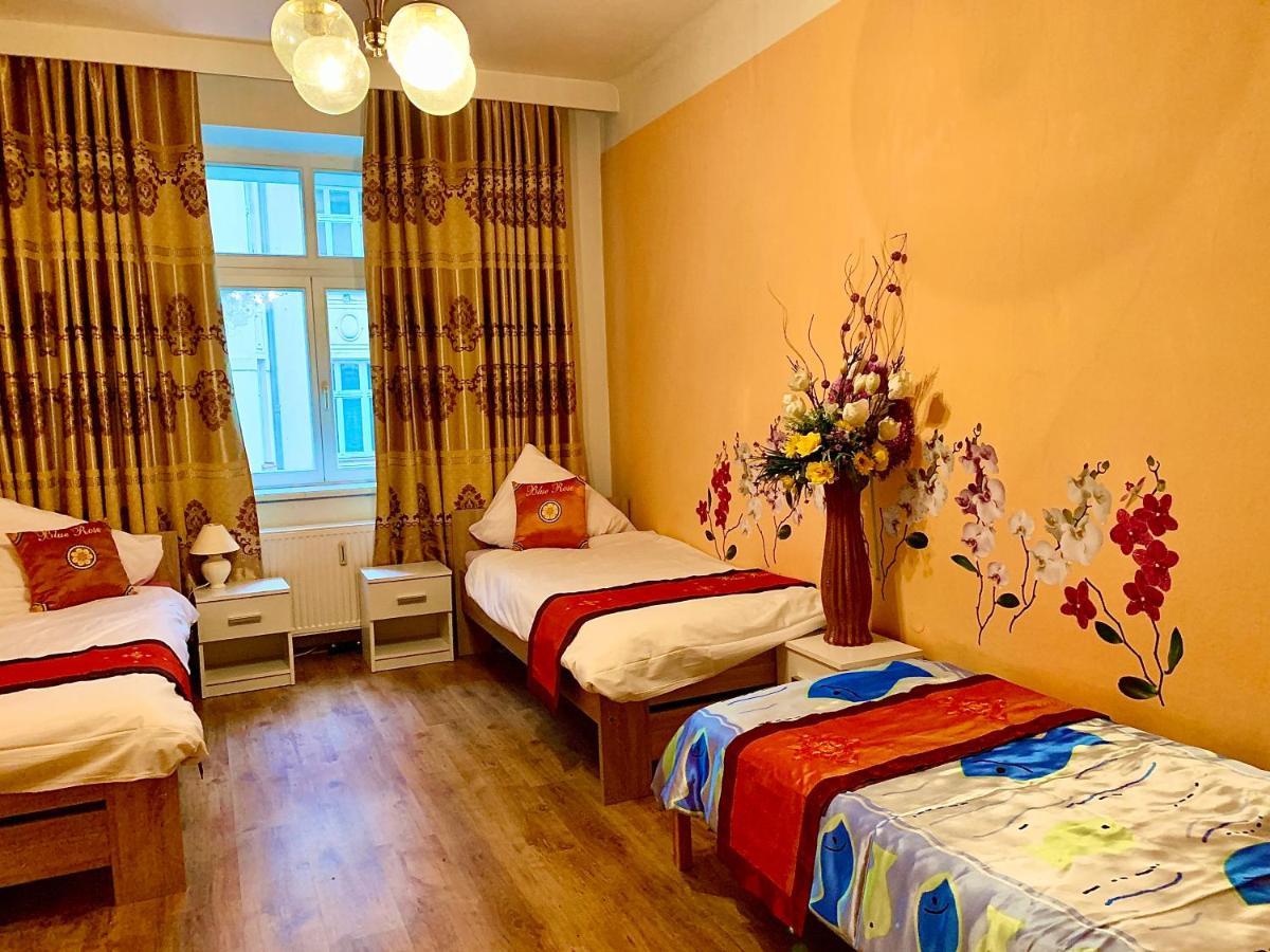 Blue Rose Apartman كارلوفي فاري المظهر الخارجي الصورة