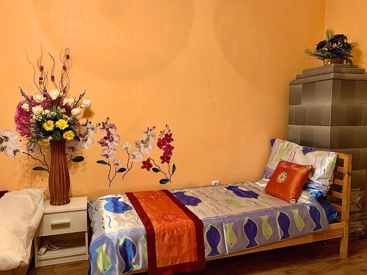 Blue Rose Apartman كارلوفي فاري المظهر الخارجي الصورة