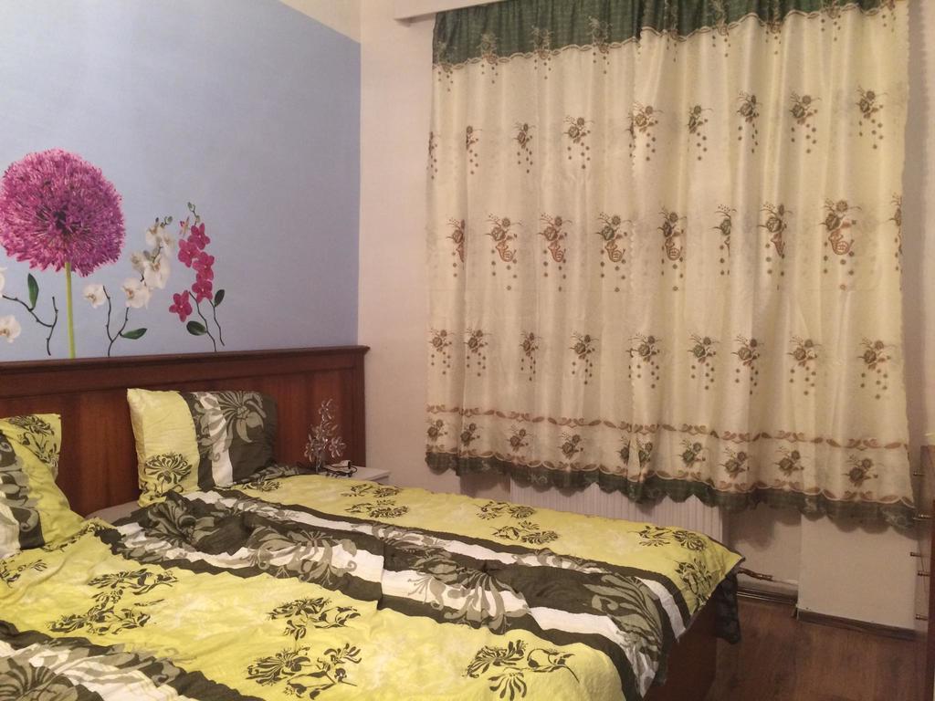 Blue Rose Apartman كارلوفي فاري المظهر الخارجي الصورة