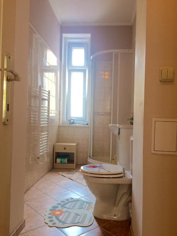 Blue Rose Apartman كارلوفي فاري المظهر الخارجي الصورة