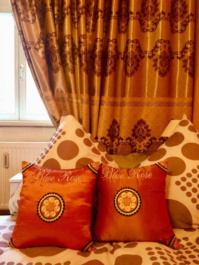 Blue Rose Apartman كارلوفي فاري المظهر الخارجي الصورة