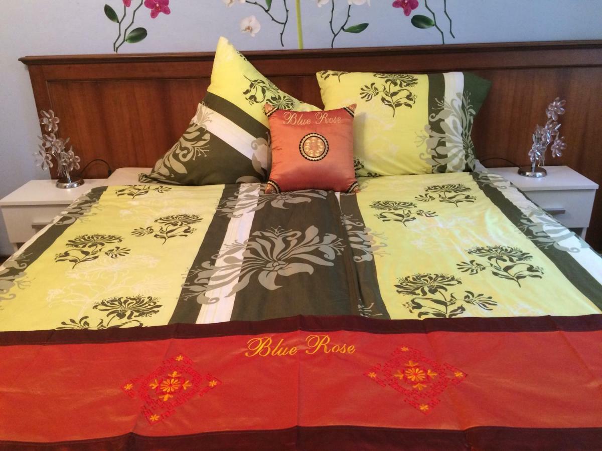 Blue Rose Apartman كارلوفي فاري المظهر الخارجي الصورة