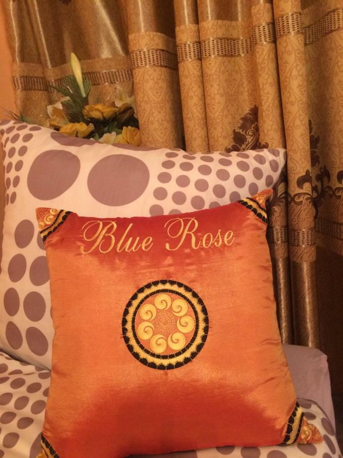 Blue Rose Apartman كارلوفي فاري المظهر الخارجي الصورة