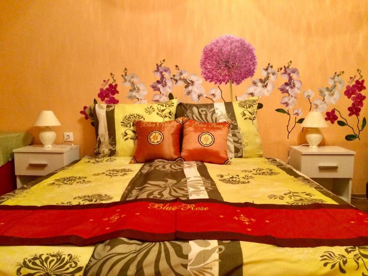 Blue Rose Apartman كارلوفي فاري المظهر الخارجي الصورة