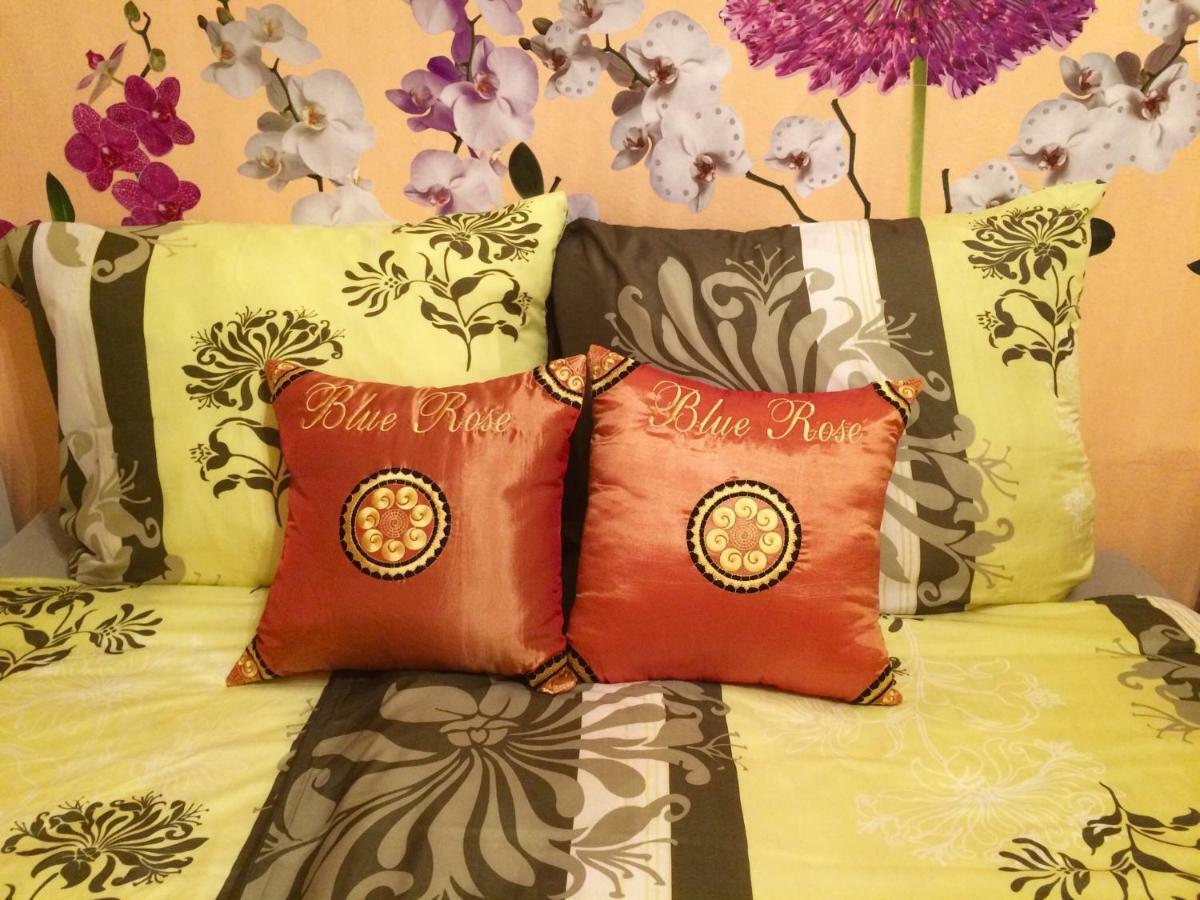 Blue Rose Apartman كارلوفي فاري المظهر الخارجي الصورة