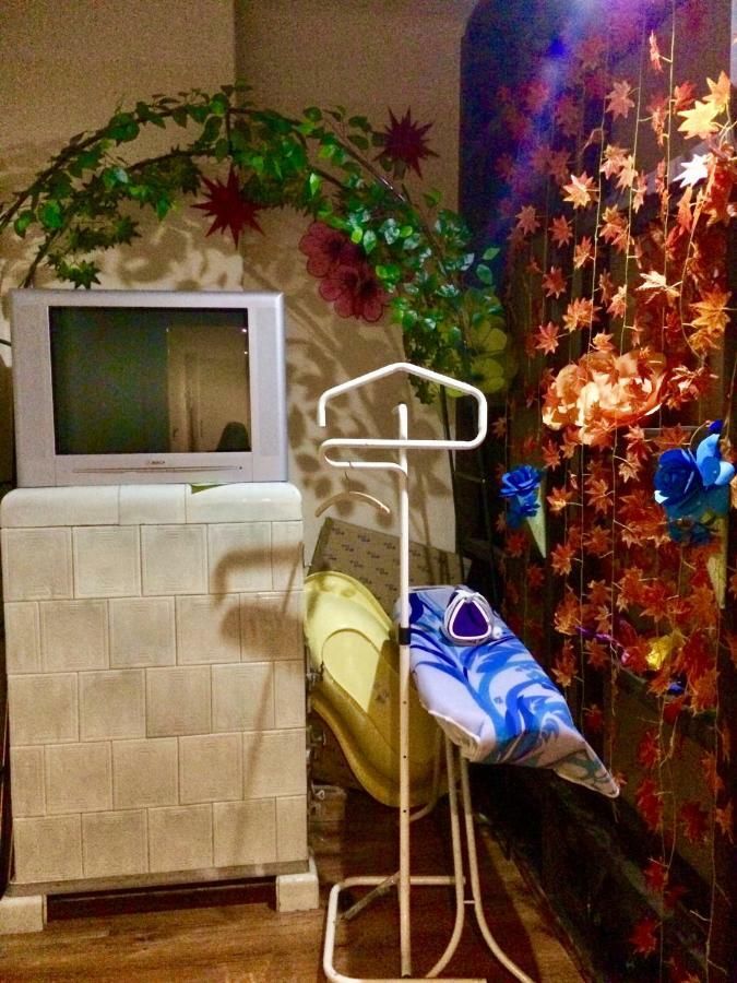 Blue Rose Apartman كارلوفي فاري المظهر الخارجي الصورة